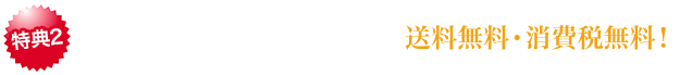 特典2:11月中にお買い求めいただいた方は送料無料・消費税無料!